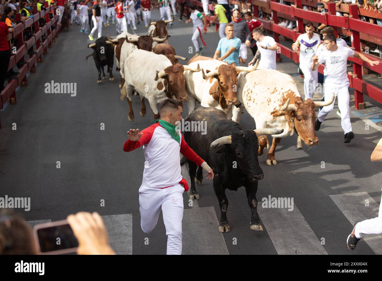 Madrid, Spagna. 26 agosto 2024. Come ogni anno, la città di Madrid di San Sebastián de los Reyes ha iniziato questa mattina la celebrazione delle sue feste patronali e come parte di esse le sue corse di tori e corride. D. Canales Carvajal/Alamy Live News - immagine Foto Stock