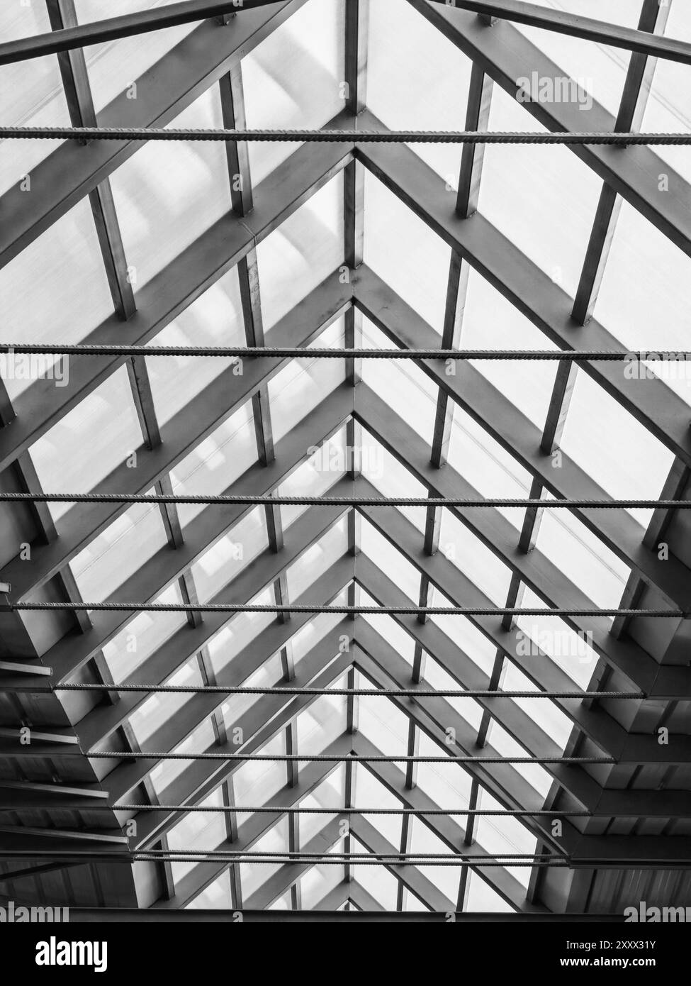 Sotto il tetto in vetro: Modelli di costruzione in metallo in luce e ombra. Bianco e nero. Foto Stock
