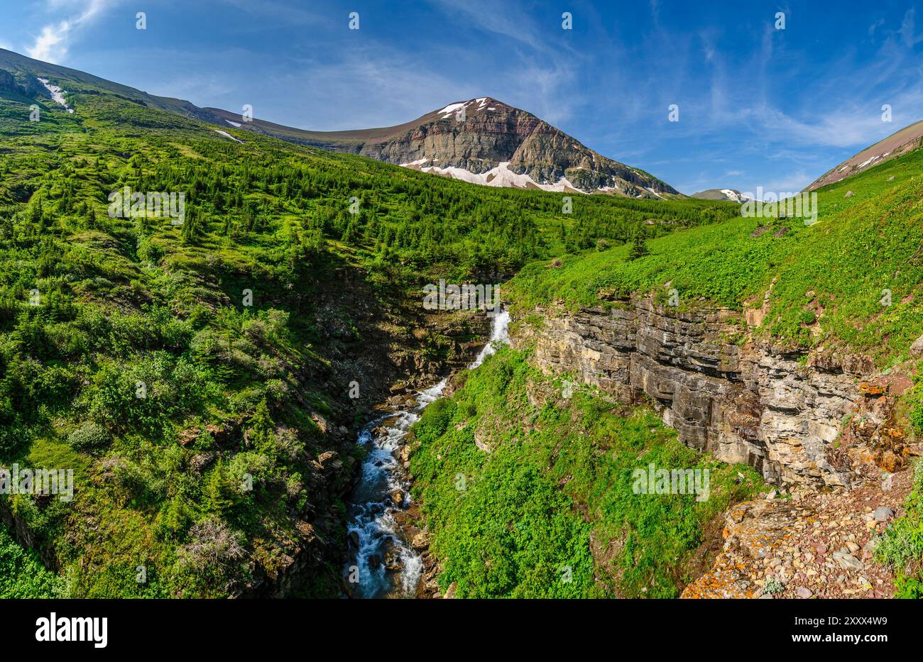 South Drywood Creek, nelle Montagne Rocciose vicino al Waterton National Park, Alberta Foto Stock