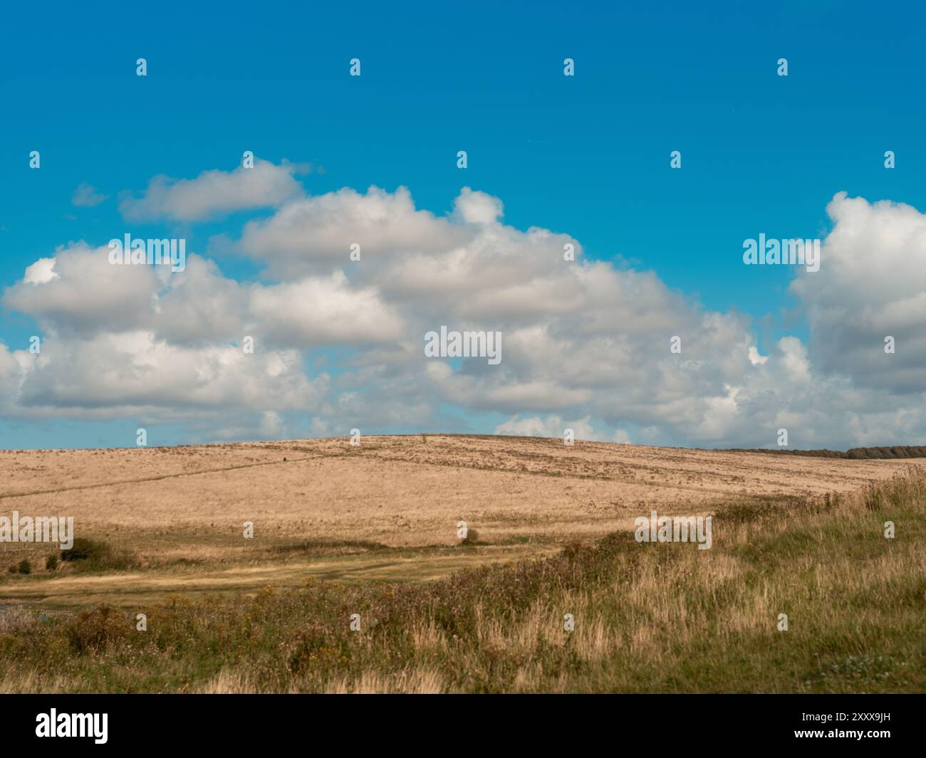 Seaford - Eastbourne - UK - 2024.08.25: Vista tranquilla di un paesaggio di campagna caratterizzato da campi dorati, tortuosi fiumi e un vasto cielo blu con influenza Foto Stock