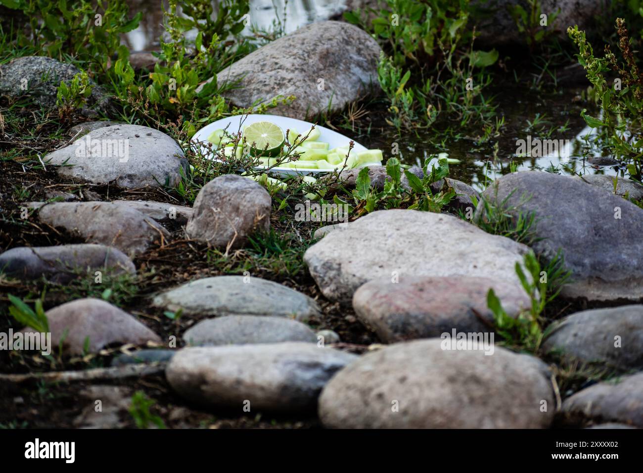 Un piatto di carta con le fette di calce lasciate alle spalle, inquinando l'ambiente nell'area ricreativa del Lower Salt River vicino a Phoenix, Arizona. Foto Stock