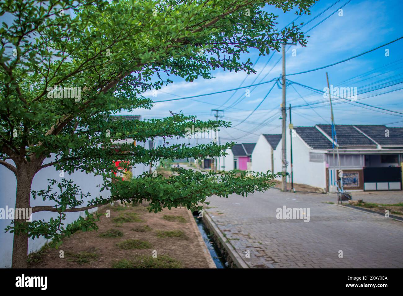 Piccola casa di quartiere residenziale, zona casa, casa residenziale. Complesso residenziale minimalista con concetto ecologico Foto Stock