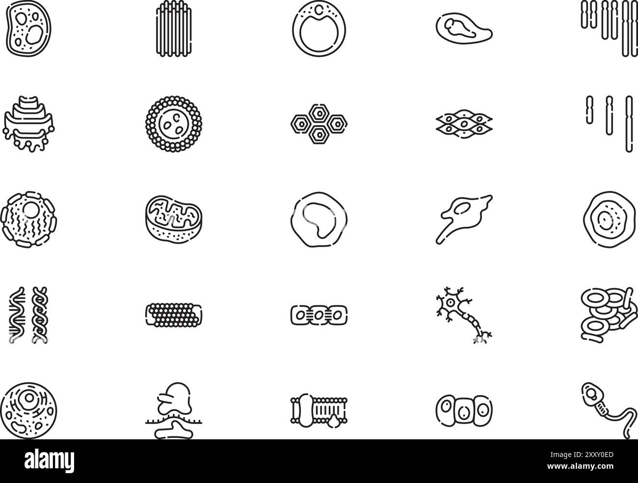 La raccolta Biology icons (icone biologia) è un'illustrazione vettoriale con traccia modificabile. Illustrazione Vettoriale