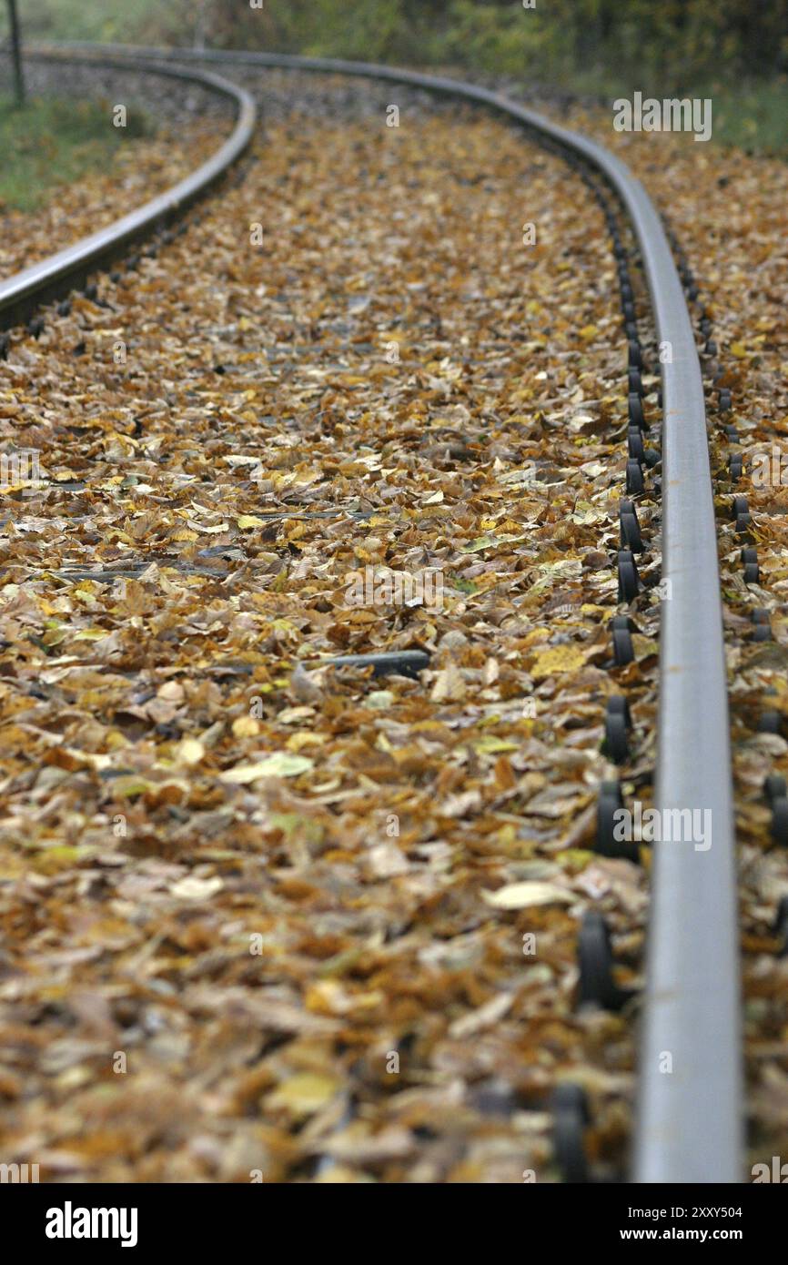 Prato alpino autunnale su un argine ferroviario con poco traffico Foto Stock