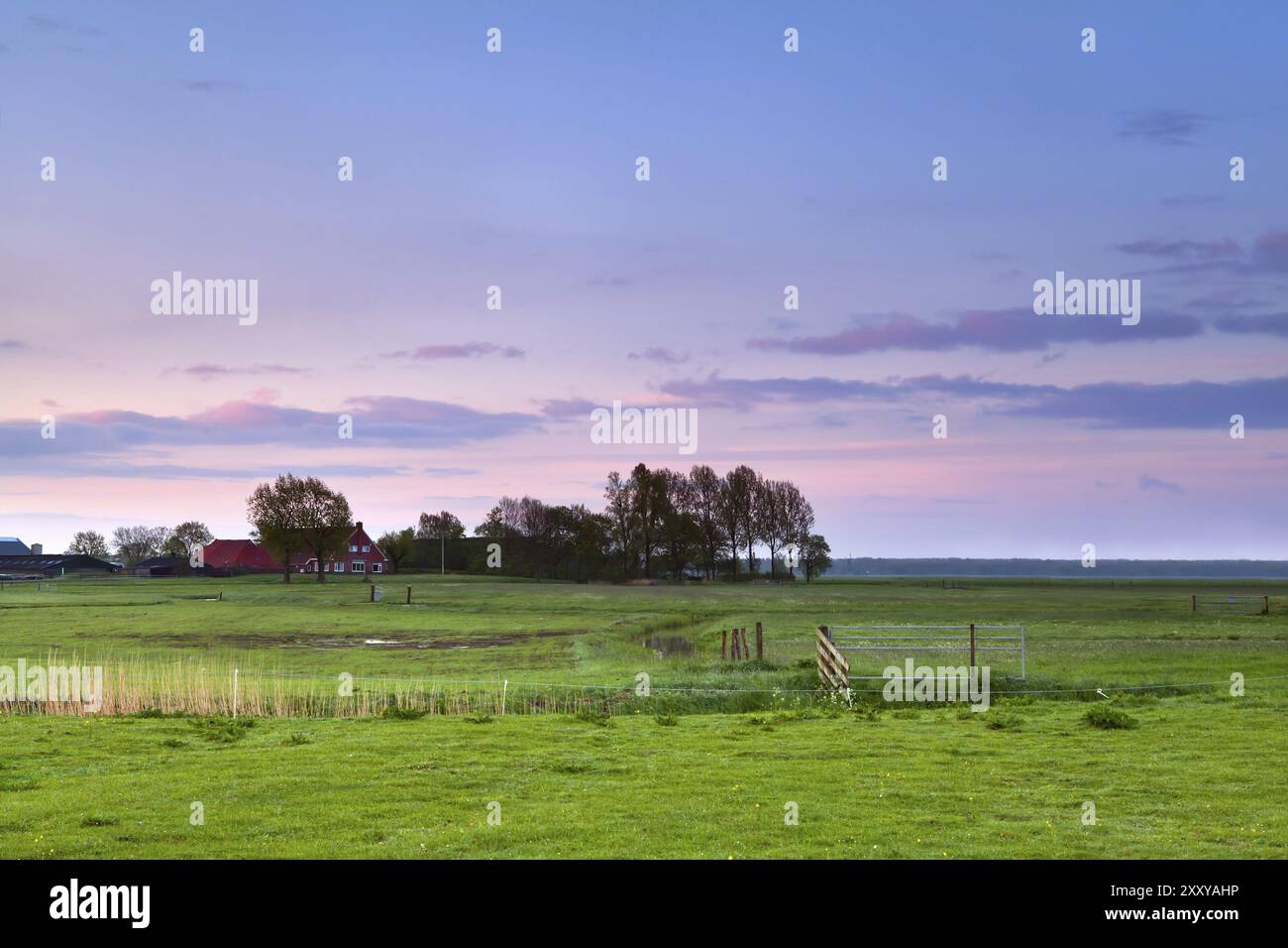 Piccola fattoria sul prato all'alba rosa calmo Foto Stock