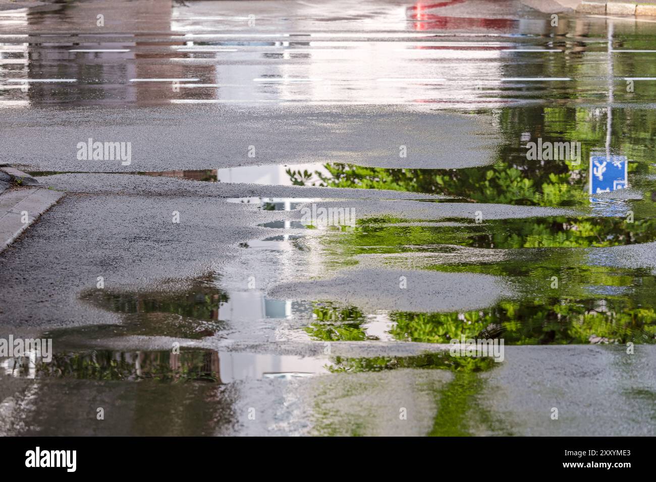 pozzanghere d'acqua su strada asfaltata dopo forti piogge con riflessi di alberi. Foto Stock