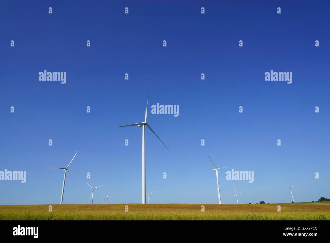 Windkraftanlagen in Frankreich Sonne blauer Himmel Windräder Windkraft Windstrom Windkraftanlagen Windenergieanlage erneuerbare energie EE Klima Klimaerwärmung Klimawandel blauer Himmel, erneuerbare energie, Nachhaltigkeit, Grüne energie, Energiewende, saubere energie, Energieerzeugung, Umweltfreundlich, Klimaschutz, Stromproduktion, Windpark, Turbinen, Landschaft, Energiequelle, Ökostrom, erneuerbare Ressourcen, Energieversorgung, Windenergie, Technik, Natur, Energieeffizienz, Klimaneutralität, Emissionsfrei, Wetter, Zukunftstechnologie, saubere Luft, nachhaltige Entwicklung, Umweltbewusstsei Foto Stock