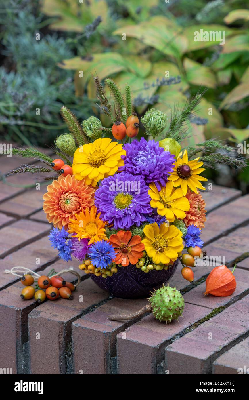 disposizione floreale tardiva estiva di ascire estive, dalie, zinnie, garofani, rosone e erbe nel giardino Foto Stock
