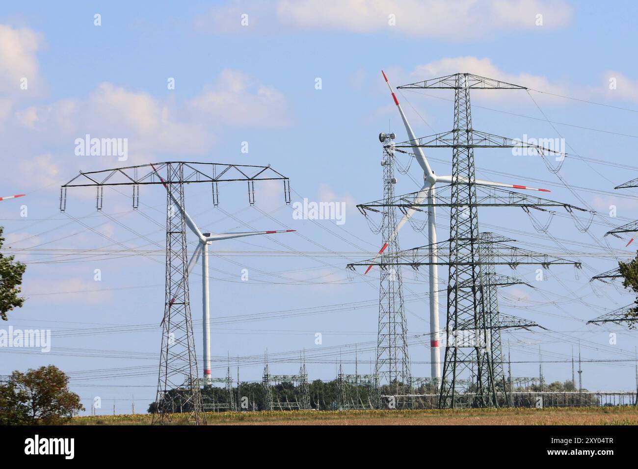 Blick am Montag 26.08.2024 unweit von Eugenienberg Landkreis Mecklenburgische Seenplatte auf Windräder zusammen mit Strommasten. Bis zum Jahr 2045 soll die Bunderepublik Deutschland klimaneutral werden und kein klimafeindliches gas mehr produzieren. Um das zu erreichen setzt man von Seiten der Politik und Wirtschaft verstärkt auf den Einsatz von Wind und Sonne. Ein problem dabei noch der Transport der erneuerbaren Energien vom Norden in die großen Ballungsgebebiete dar. *** Vista di Lunedi 26 08 2024 non lontano da Eugenienberg nel Distretto dei Laghi del Meclemburgo di turbine eoliche insieme ad eletti Foto Stock