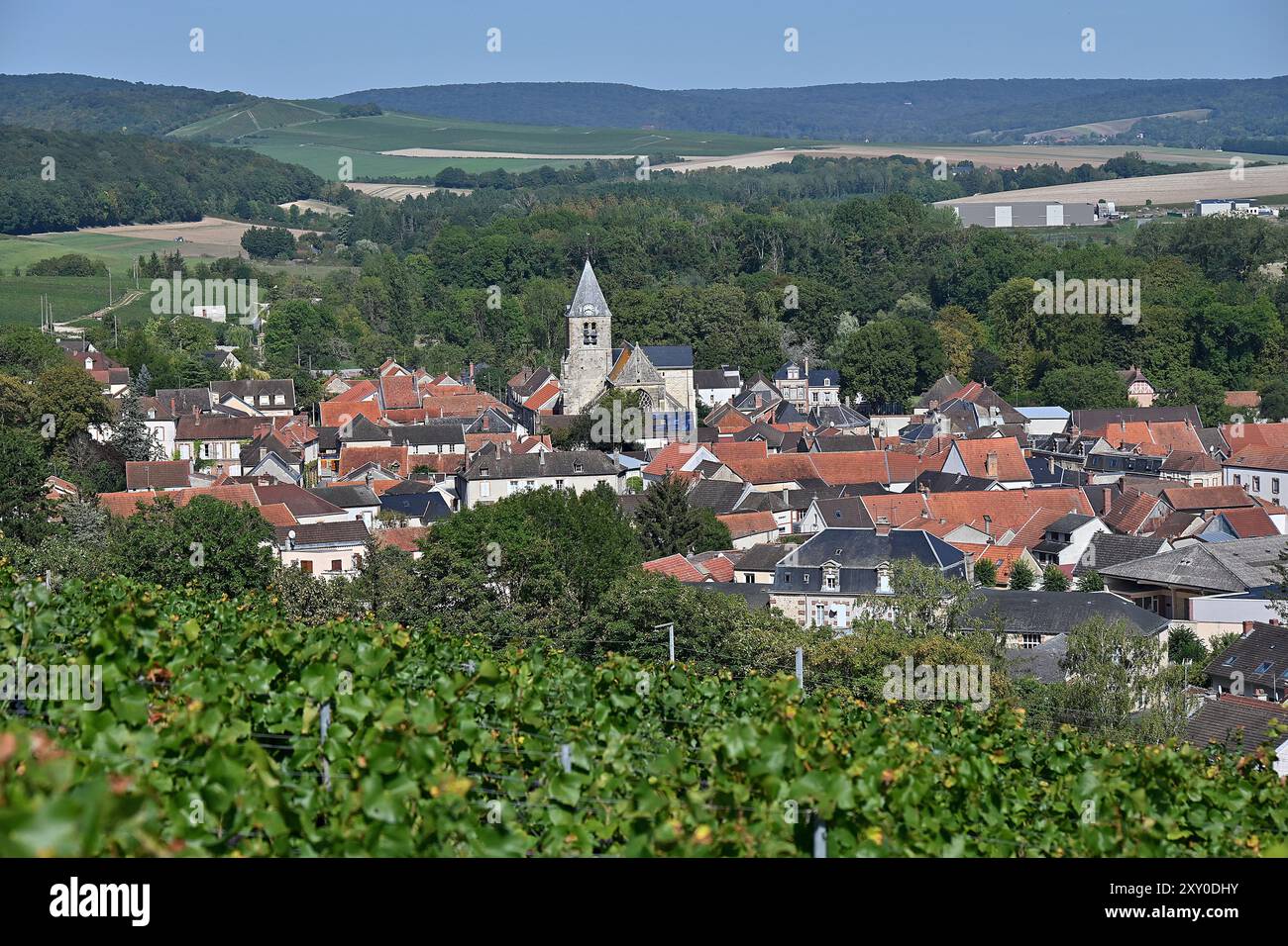 Avenay-Val-d'Or (Francia nord-orientale): Villaggio e vigneto di Champagne, a sud dei monti Reims, in una valle formata dal fiume Livre. Foto Stock