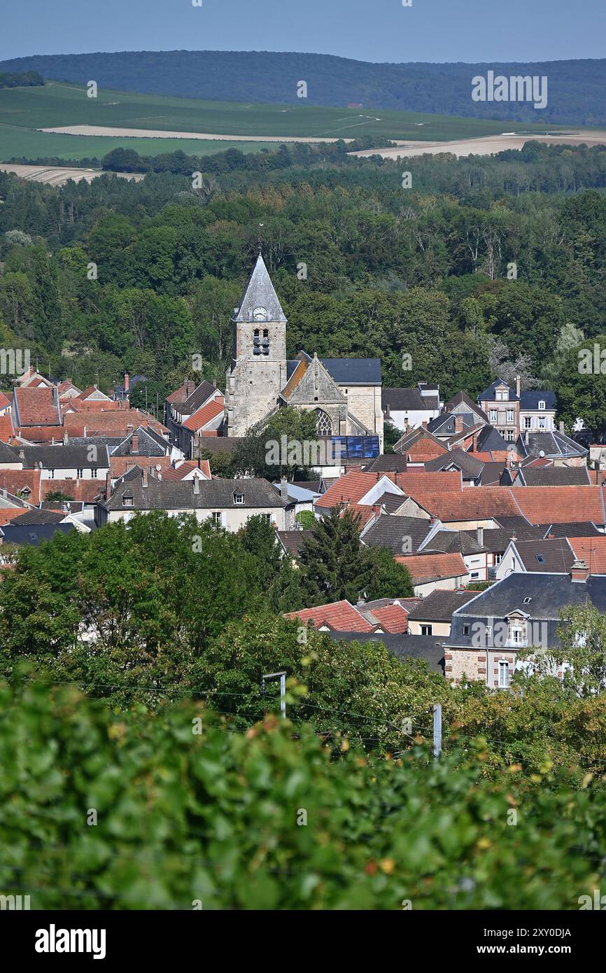 Avenay-Val-d'Or (Francia nord-orientale): Villaggio e vigneto di Champagne, a sud dei monti Reims, in una valle formata dal fiume Livre. Foto Stock