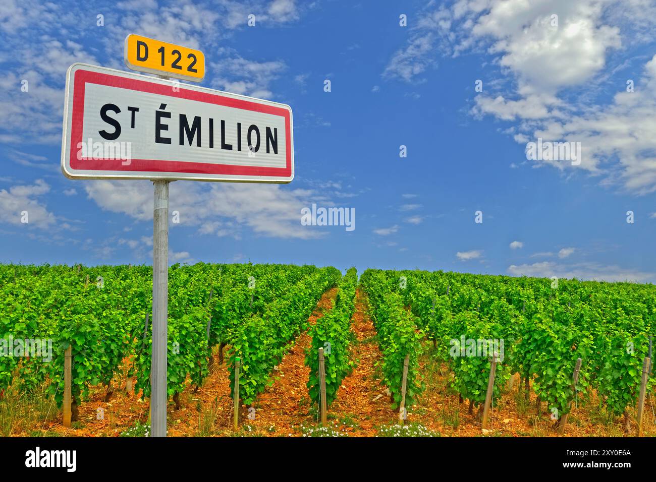 Vinyard a St. Emilion, nella regione di Bordeaux, Francia sud-occidentale. Foto Stock