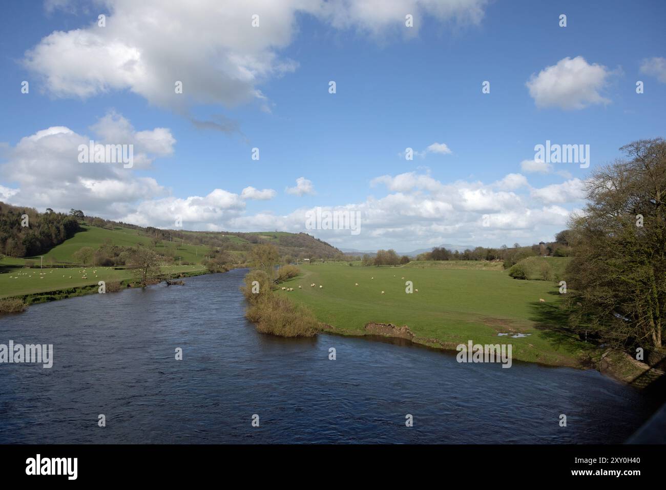 Il fiume Lune presso il Crook di Lune con una vista lontana di Penyghent nelle Yorkshire Dales vicino a Caton Lancaster Lancashire Inghilterra Foto Stock