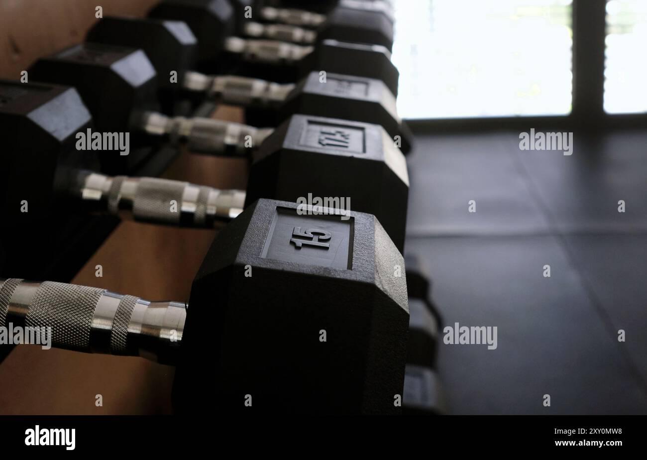 Concentrazione selettiva su una fila di pesi in palestra Foto Stock