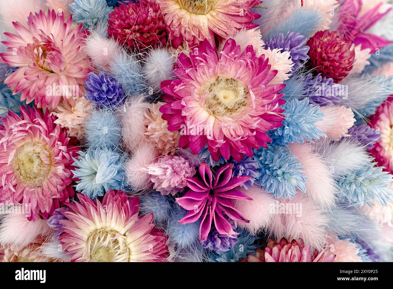 Grande gruppo di fiori assortiti, sfondo floreale astratto di stagione Foto Stock