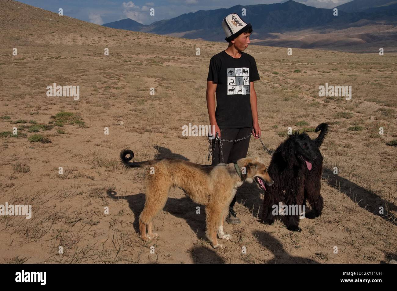 Il ragazzo nomade e i suoi due cani Taigan sulle montagne del Kirghizistan Foto Stock