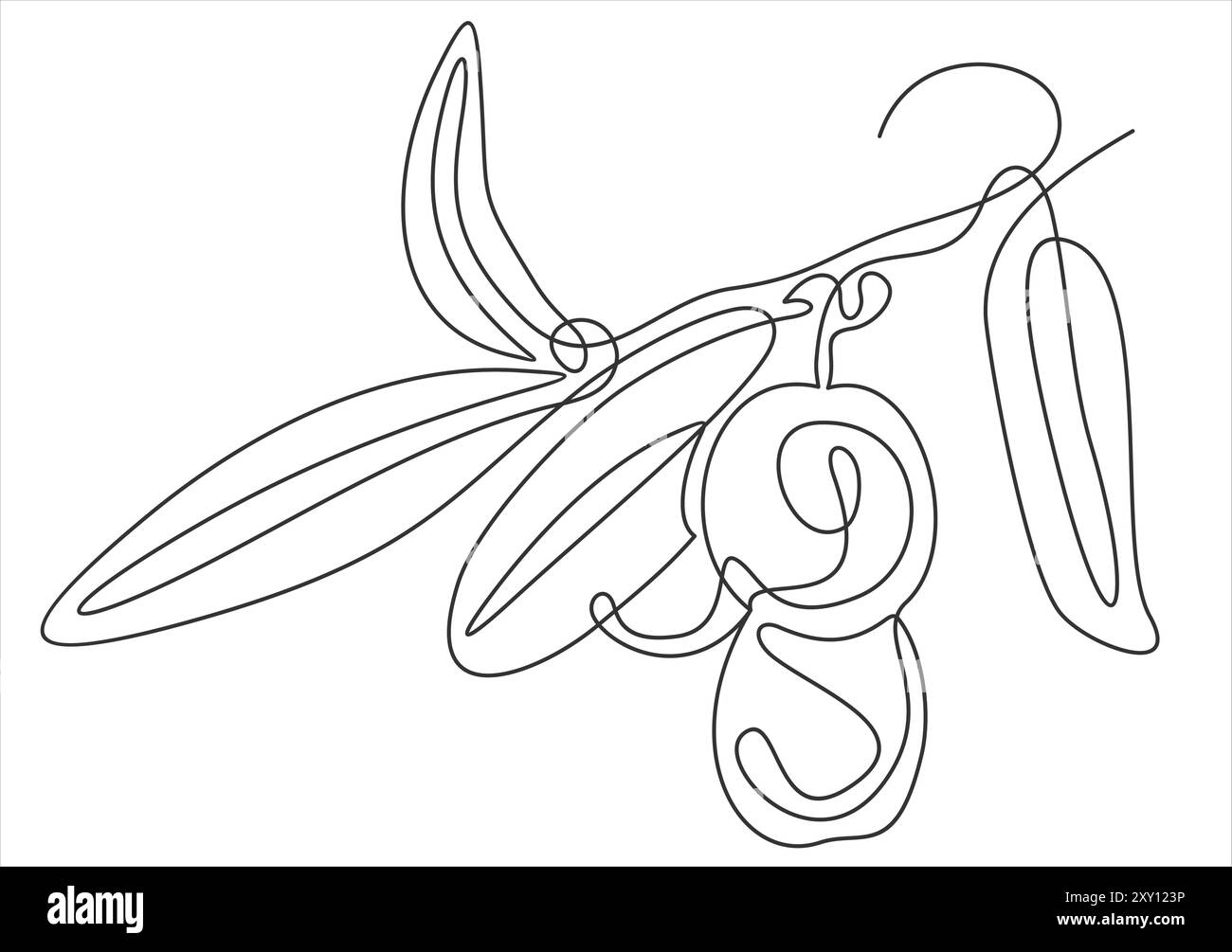 Icona linea olive -disegno continuo a una linea Illustrazione Vettoriale