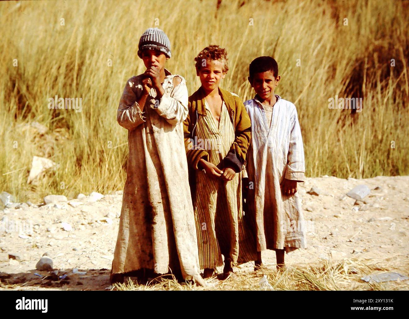 Zukunft ist fuer diese Kinder ein Fremdwort - Armut und elend praegen ihren Lebensalltag Aegypten Oberaegypten Fellachenkinder Edfu Land Armut Elend *** il futuro è una parola straniera per questi bambini povertà e miseria caratterizzano la loro vita quotidiana Egitto alto Egitto Fellah Children Edfu Paese povertà miseria Foto Stock