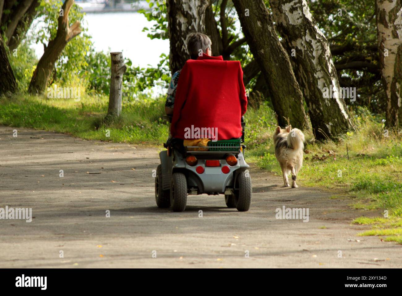 Blick auf eine person im Rollstuhl neben der ein Hund läuft...ein treuer und guter Kamerad... ein Treuer Freund *** Vista di una persona su una sedia a rotelle con un cane che cammina accanto a loro un fedele e buon compagno un amico fedele Foto Stock