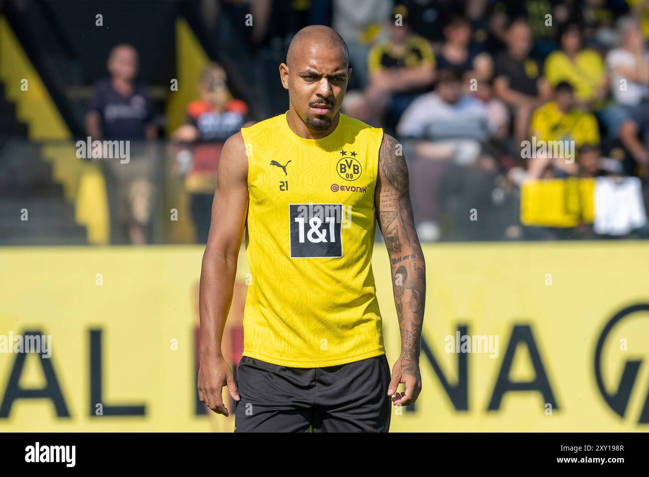 27.08.2024, Fussball: 1. Bundesliga, Saison 2024/2025, oeffentliches Training, Borussia Dortmund im Trainingszentrum a Dortmund-Brackel. Donyell Malen (Borussia Dortmund 09, n. 21). Foto: Kirchner-Media/TH Foto Stock