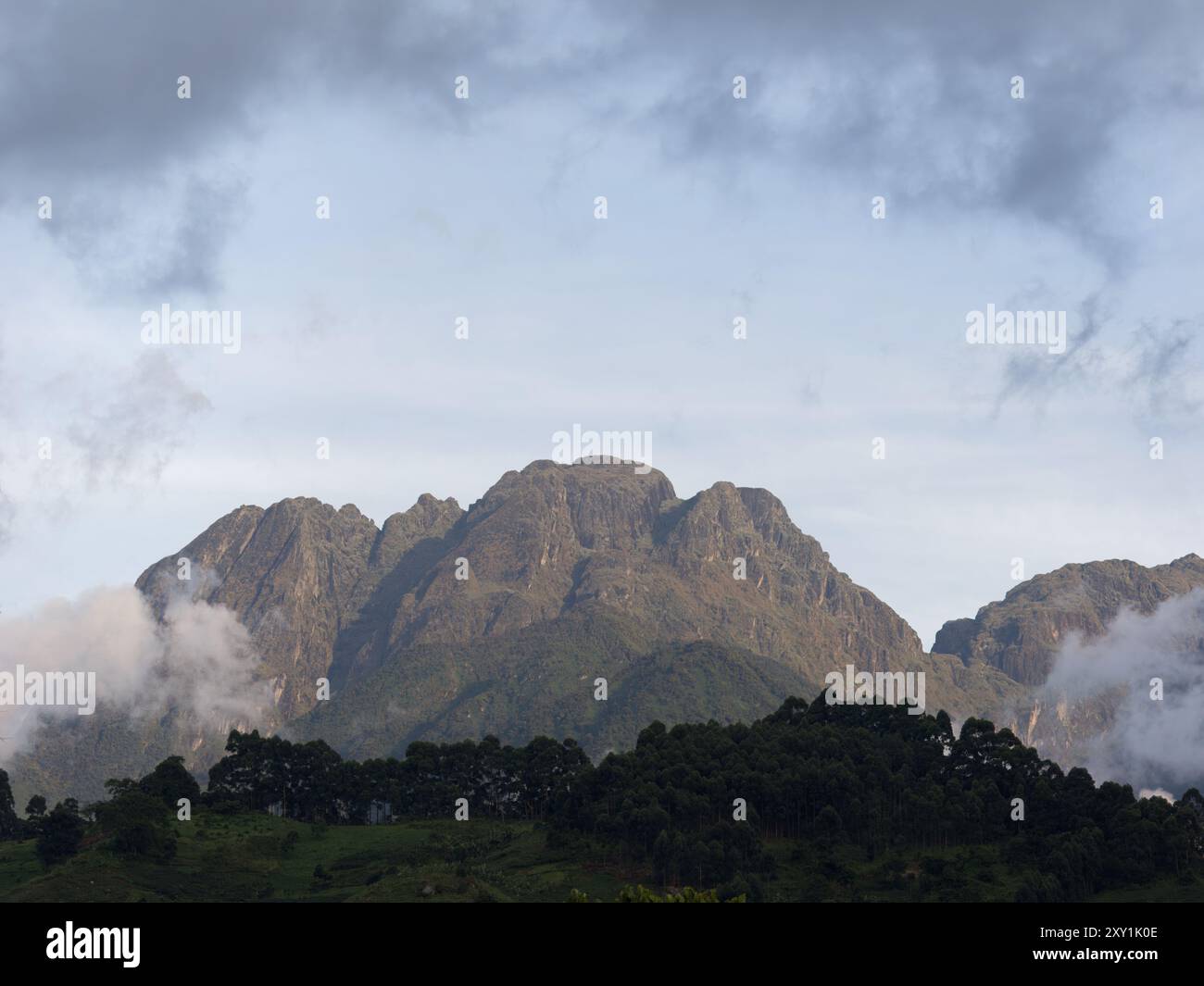 Vista del picco montuoso sui monti Rwenzori, Uganda Foto Stock