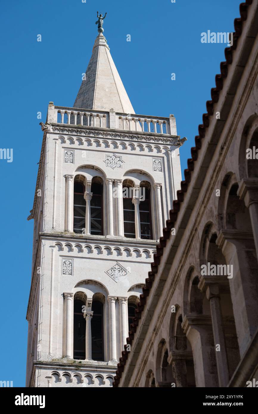 Campanile della cattedrale di Santa Anastasia, città vecchia di Zara, Croazia Foto Stock