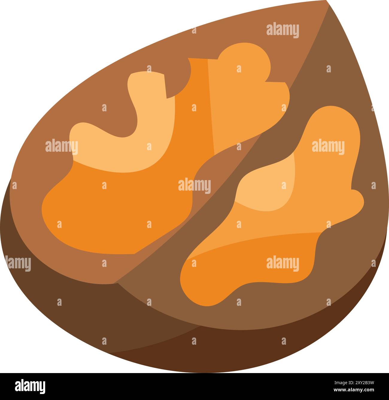 Noce diviso a metà. Guscio del dado con nucleo maturo all'interno. Semplice illustrazione a colori accogliente. Vettore cartoon disegnato a mano isolato su sfondo bianco Illustrazione Vettoriale