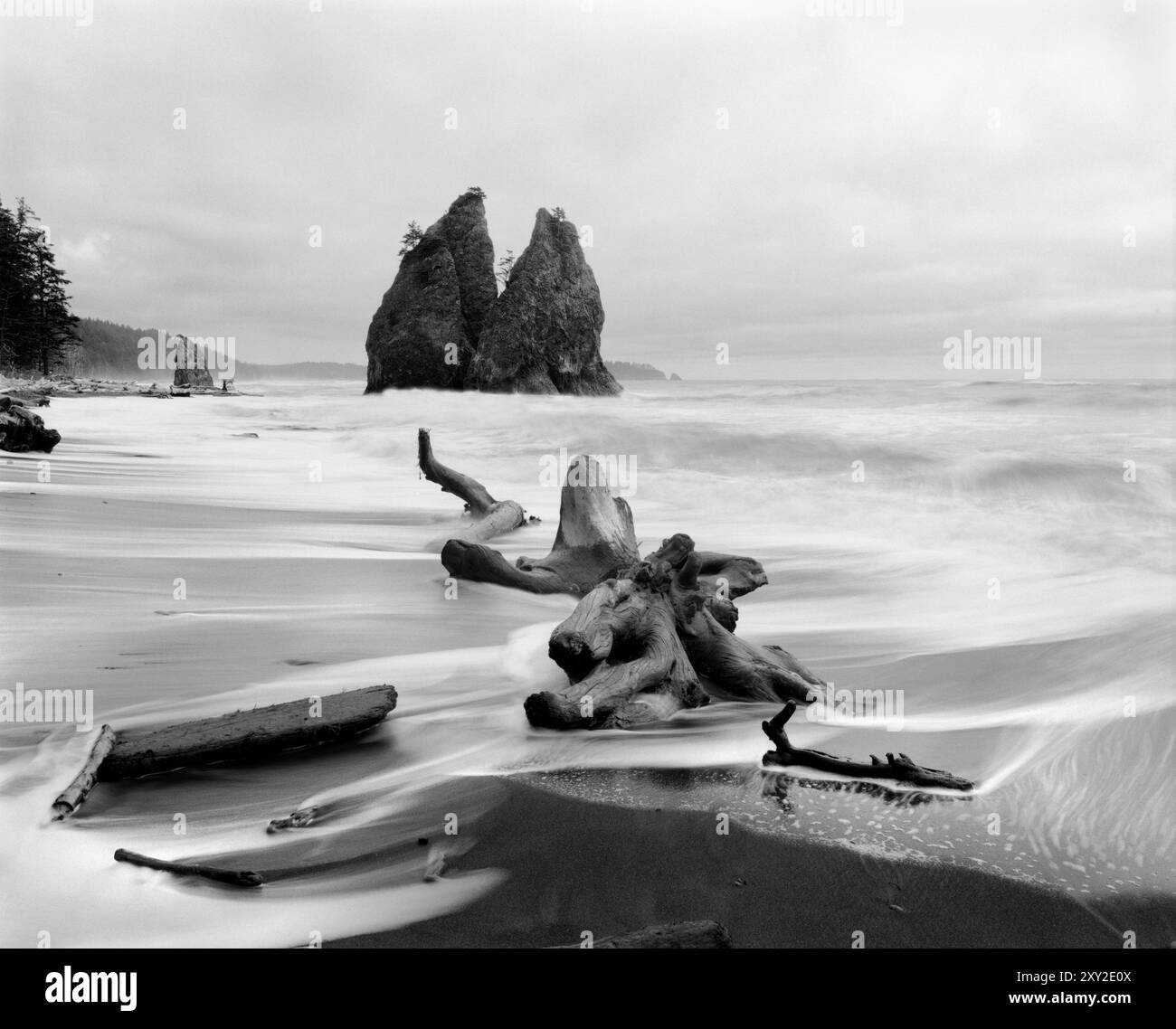 BW02011-00..... WASHINGTON - Rialto Beach vicino a Hole-in-the-Wall, Olympic National Park. Foto Stock