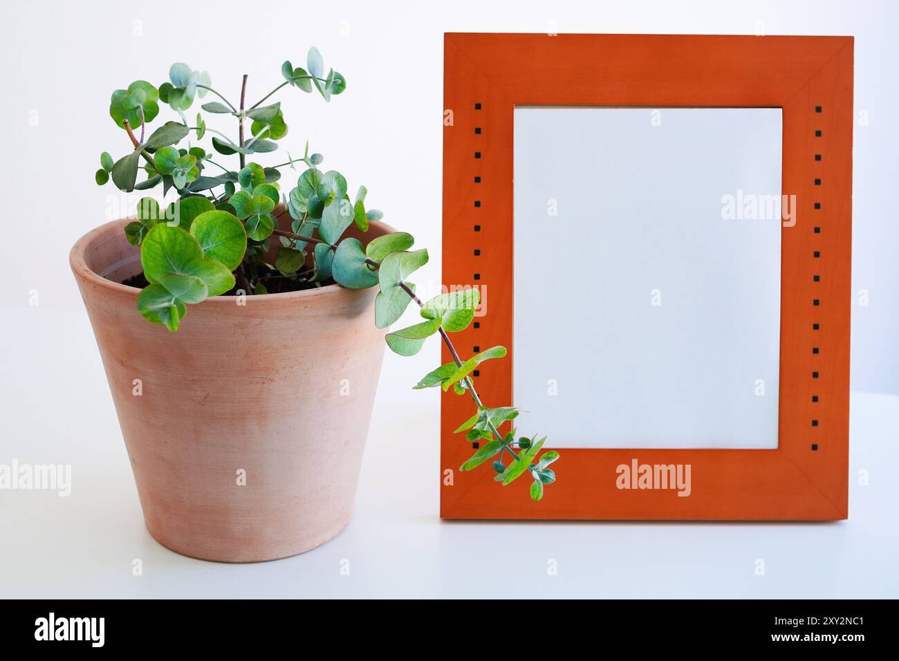 Cornice fotografica e fogliame pianta su sfondo bianco , Mockup Foto Stock