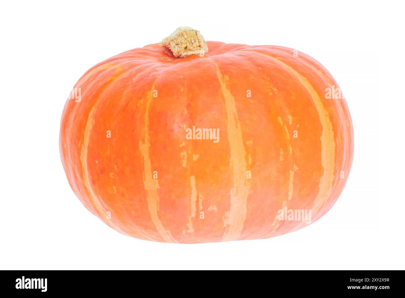 zucca kuri rossa matura isolata su sfondo bianco Foto Stock