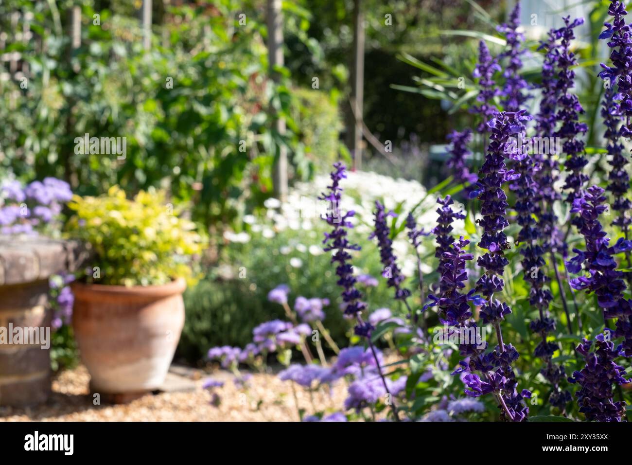 Coloratissimi bordi floreali, fotografati al sole di agosto a Capel Manor, Enfield, Regno Unito. Foto Stock