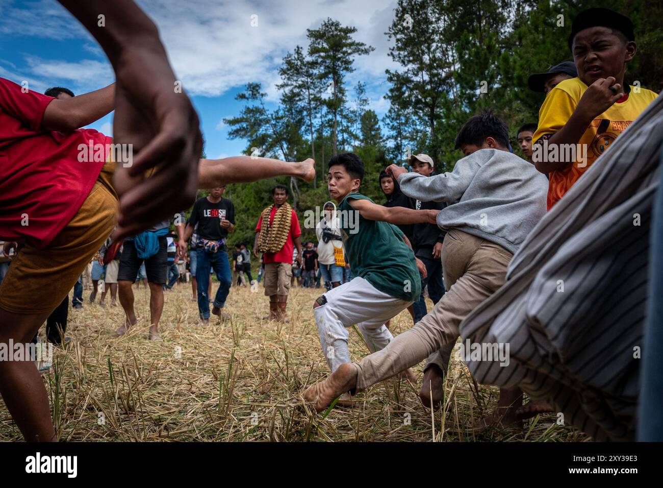 Toraja Utara, Sulawesi meridionale, Indonesia. 27 agosto 2024. Un certo numero di uomini si calci a vicenda mentre tengono la tradizione ''Sisemba'' (calci a vicenda) a Panggala, nella Reggenza di Toraja settentrionale, sulawesi meridionale, Indonesia. Il giorno di giovedì, 27 agosto 2024. La tradizione è un'espressione di gratitudine per le colture e si basa sulla convinzione che l'evento li terrà entusiasti per il lavoro che ci attende per ottenere le prossime colture abbondanti. Senza eseguire Sisemba, la gente di Tana Toraja crede che ci sarà un fallimento del raccolto. La tradizione sostiene di sostenere i valori di parentela. Partecipanti che dispongono di fa Foto Stock