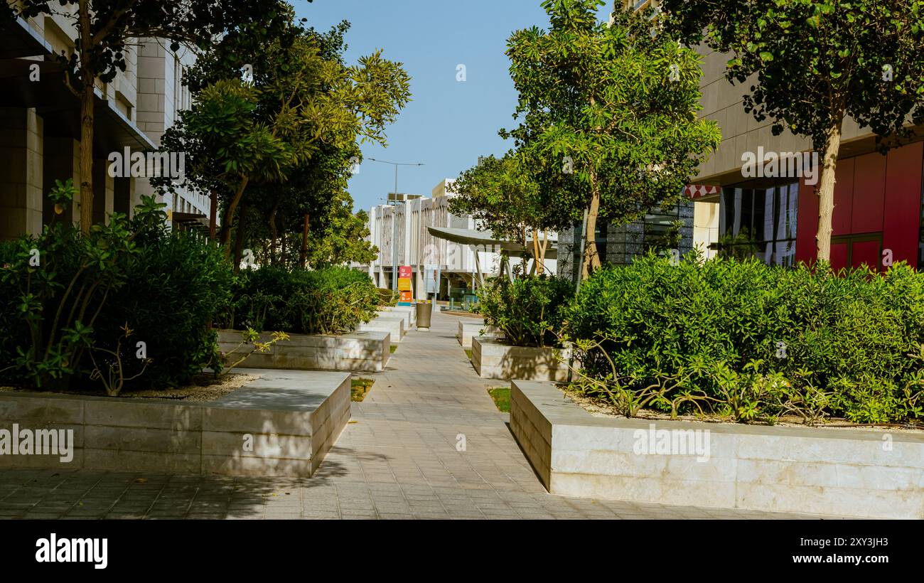 Letti rialzati in un giardino urbano che coltiva piante fiori, erbe, spezie e bacche. Foto di alta qualità Foto Stock