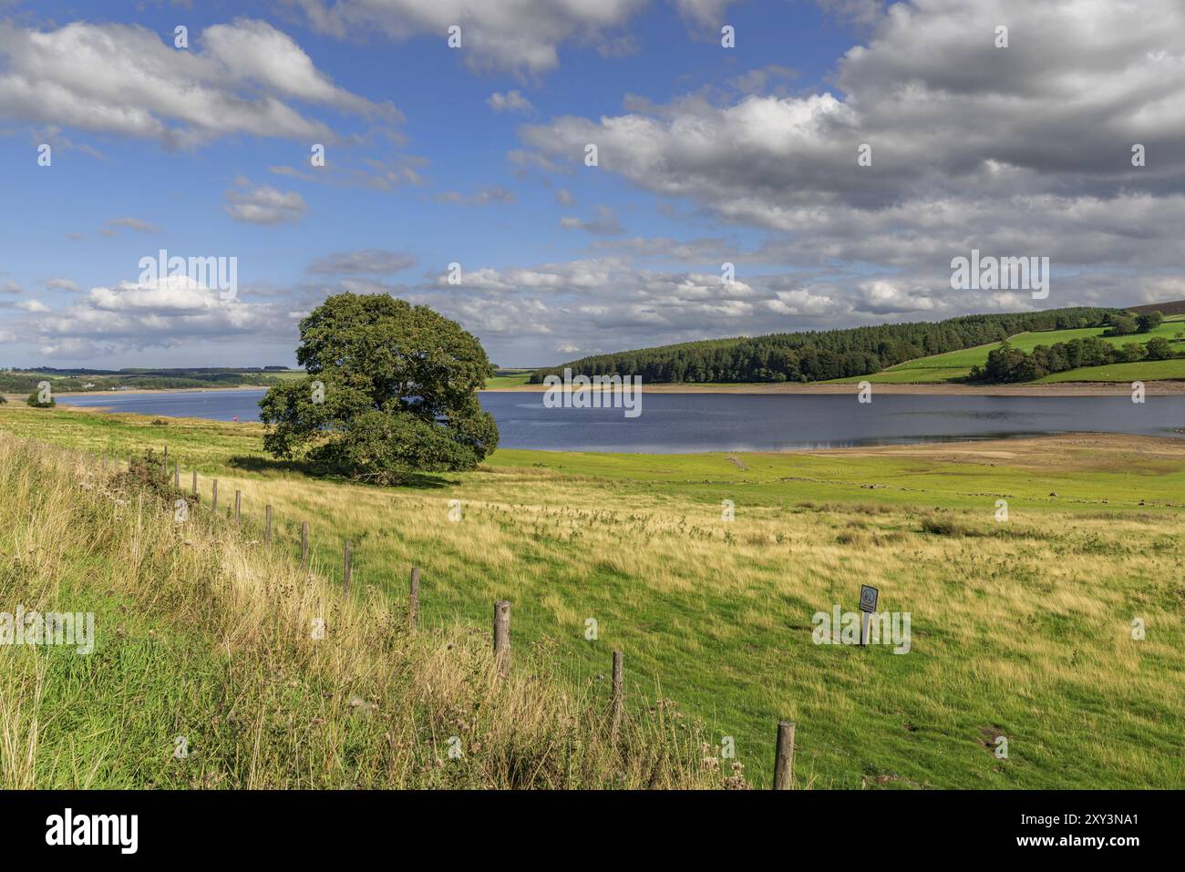 Guardando ad ovest dal lato est del serbatoio Derwent, Northumberland, England, Regno Unito Foto Stock