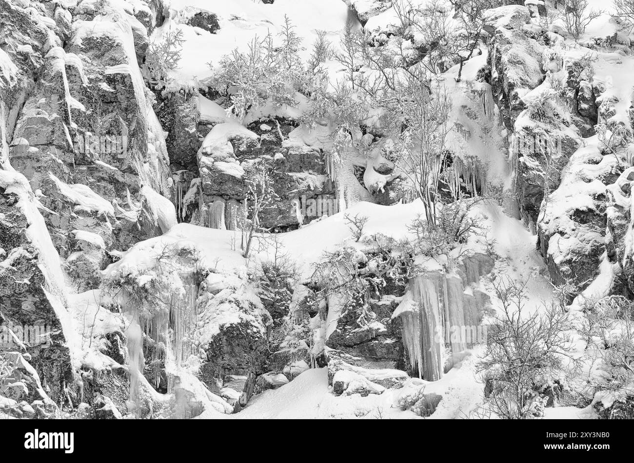 Ghiaccioli e rocce innevate presso la cascata Njupeskaer (la cascata più alta della Svezia), il Parco nazionale Fulufjaellet, Dalarna, Svezia, dicembre 2011, Europ Foto Stock