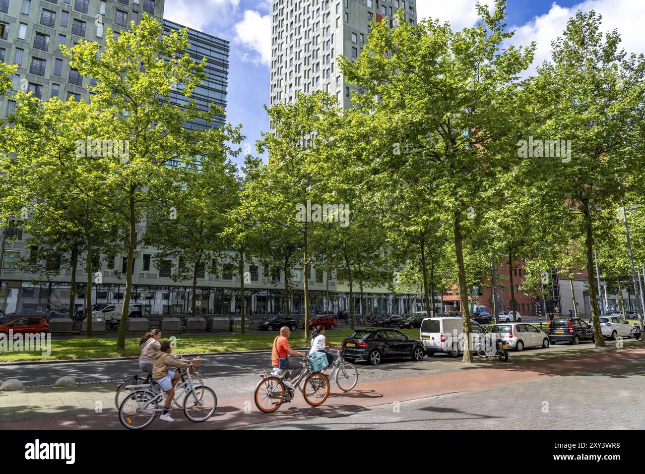 Verde urbano, via Laan op Zuid, nel quartiere Feijenoord di Rotterdam, 4 corsie, 2 binari del tram, piste ciclabili su entrambi i lati, marciapiedi e parcheggio Foto Stock