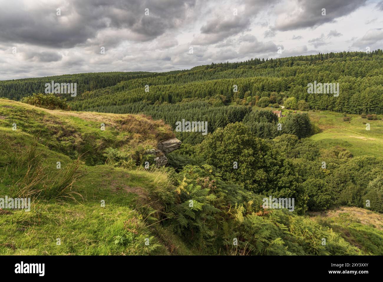 Il paesaggio delle North York Moors si affaccia dalla Levisham Moor su Newtondale, North Yorkshire, Inghilterra, Regno Unito Foto Stock