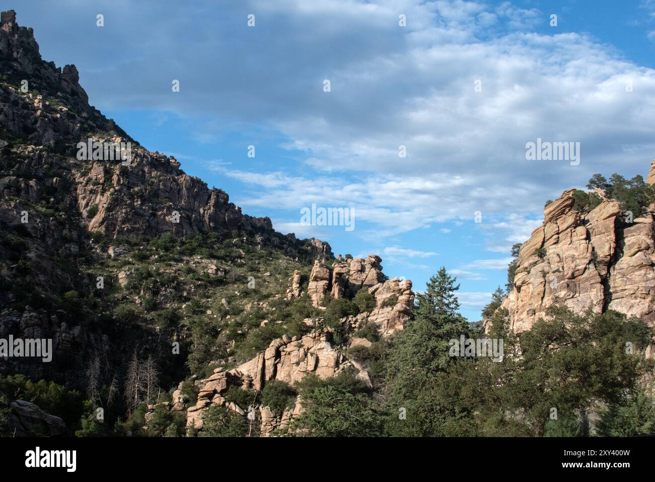 Vista panoramica in una foresta montuosa Foto Stock