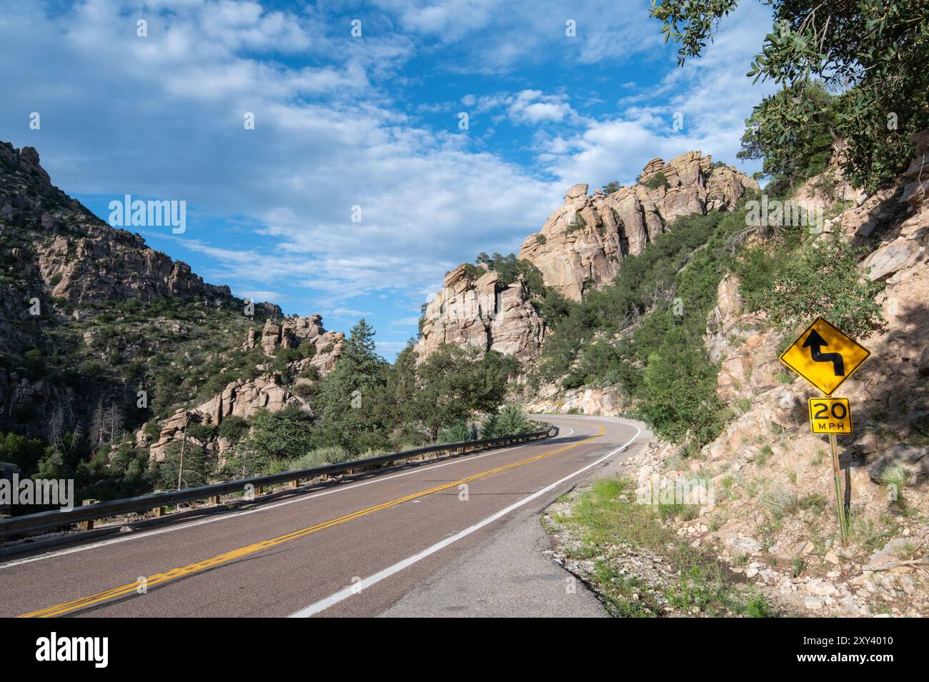 Strada di montagna della foresta Foto Stock