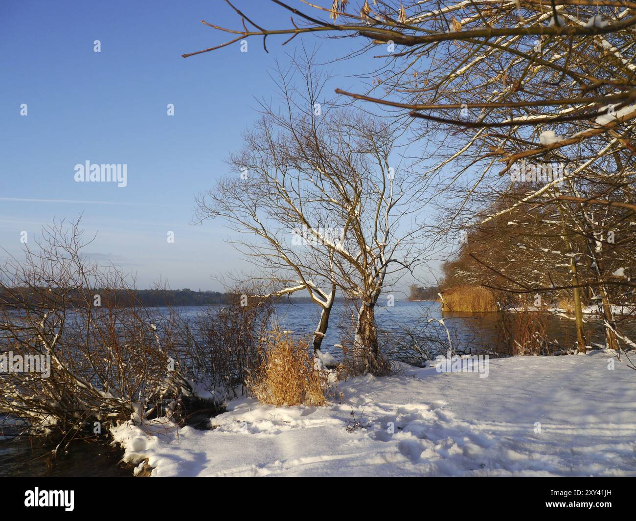 Inverno sull'Havel a Berlino Foto Stock