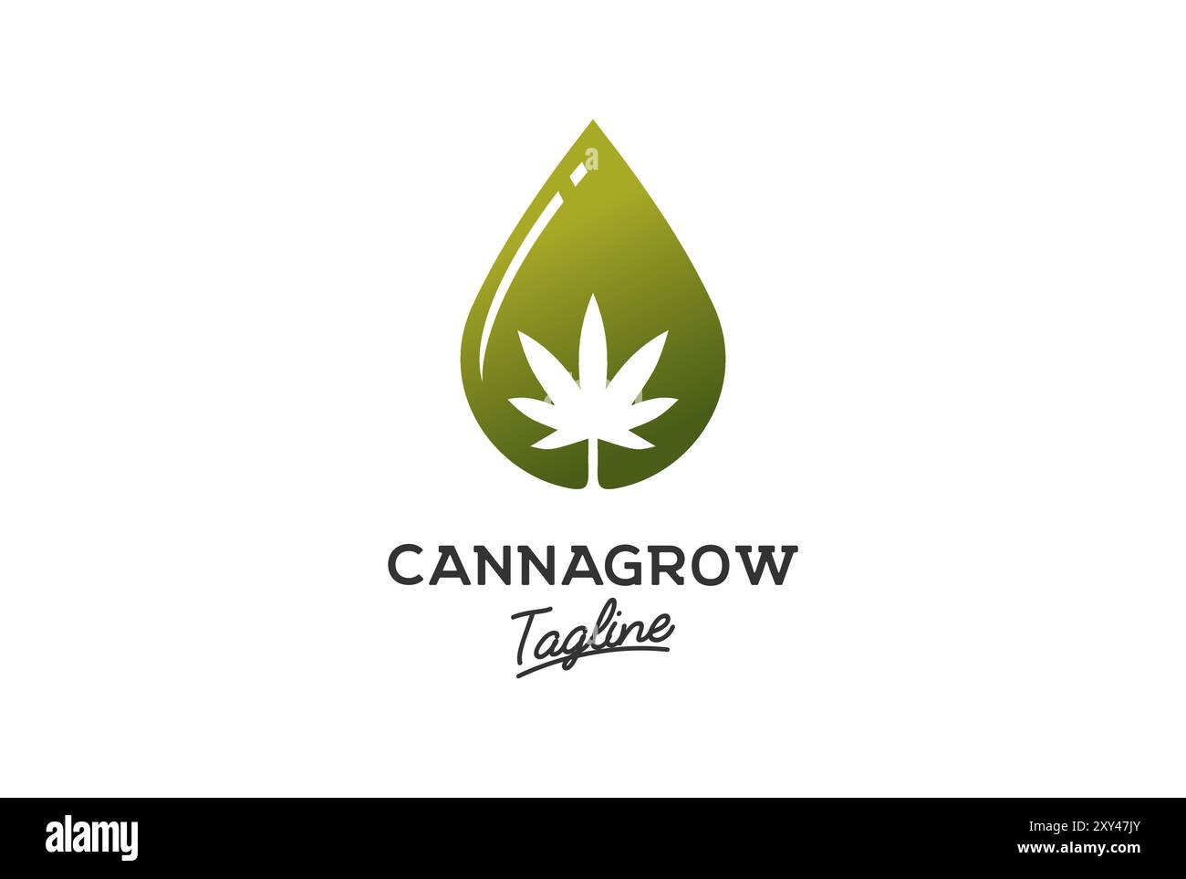 Goccia di olio d'acqua con Cannabis marijuana Ganja Leaf per canapa CBD Logo Design Vector Illustrazione Vettoriale