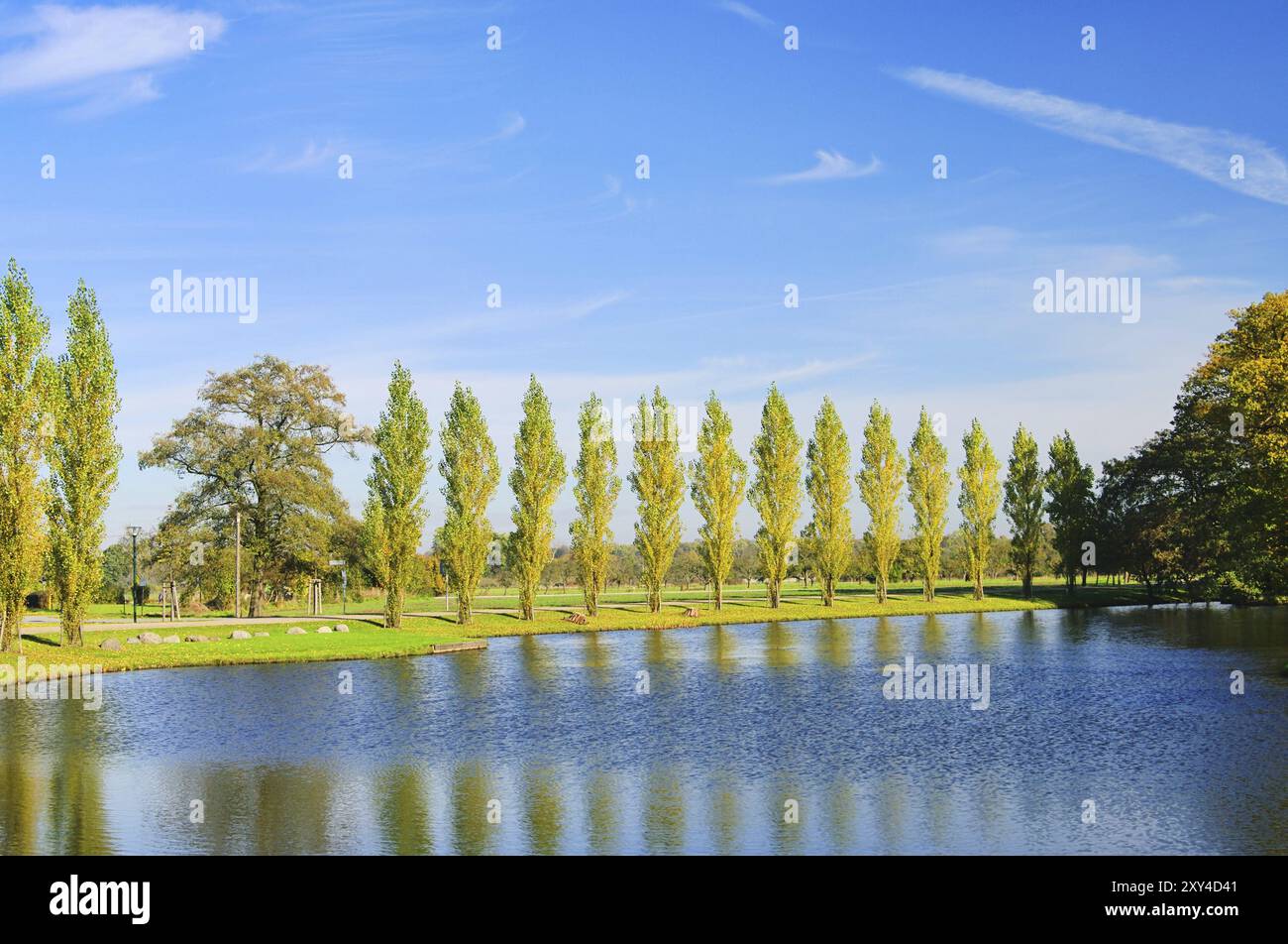 Lake Woerlitz Park, giardini inglesi presso Lake Woerlitz 08 Foto Stock