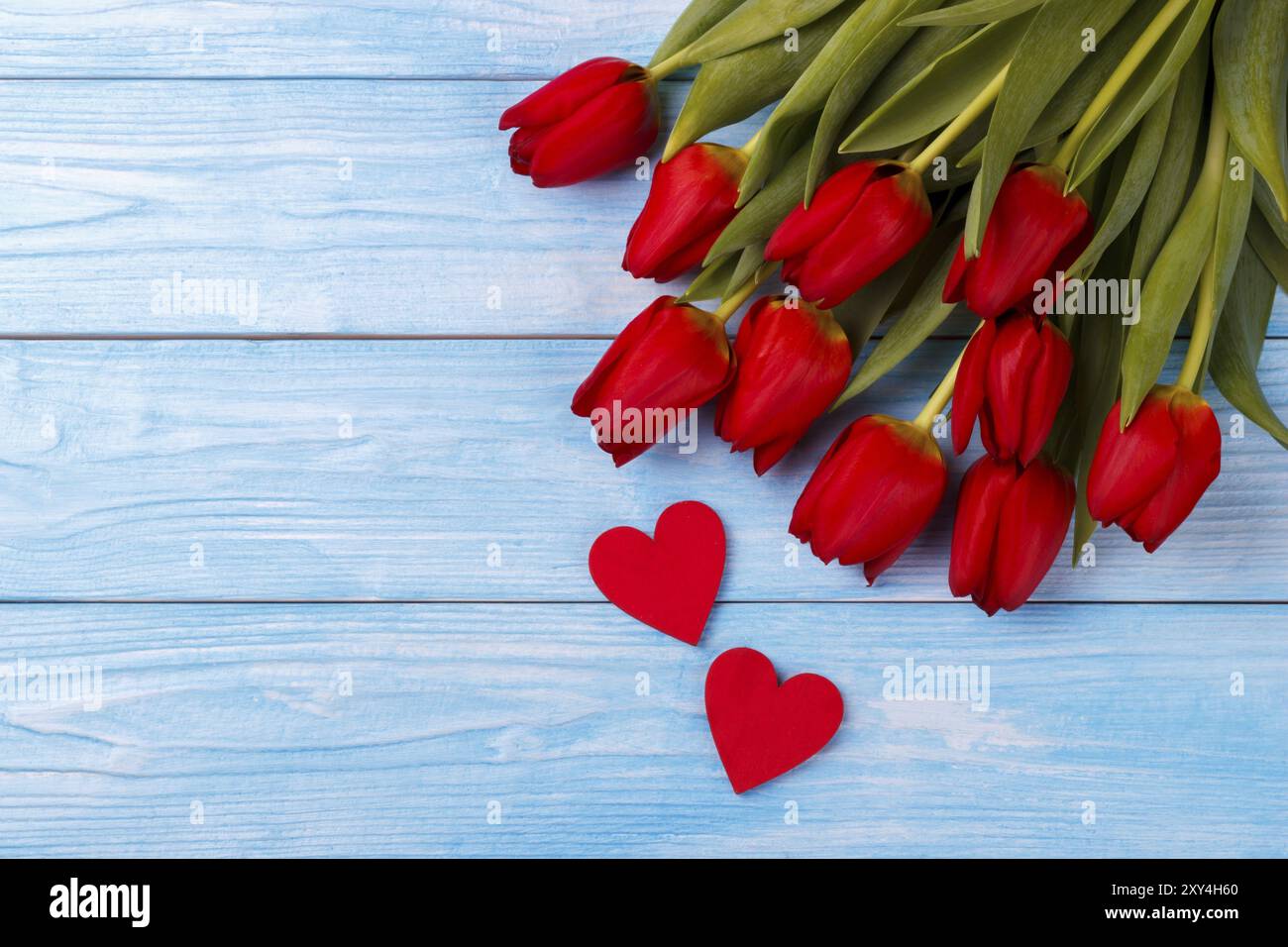 Tulipani rossi e due cuori di legno su blu sullo sfondo di legno, vista aerea con spazio di copia Foto Stock