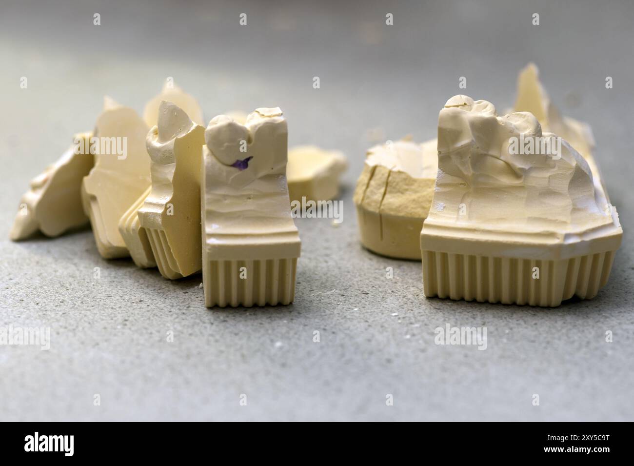 Parti singole del modello di ganascia superiore Foto Stock