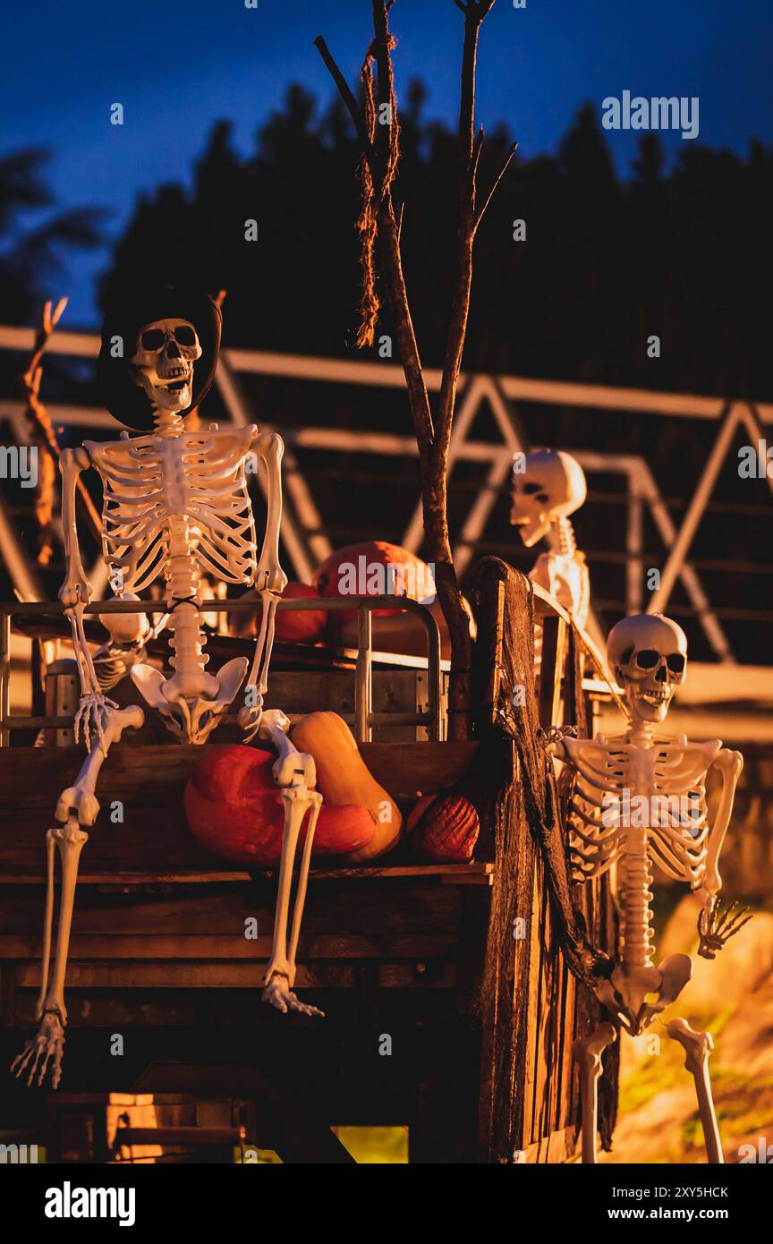 Scheletro umano su carrozza di legno con zucche. Decorazione di Halloween di notte. Foto Stock