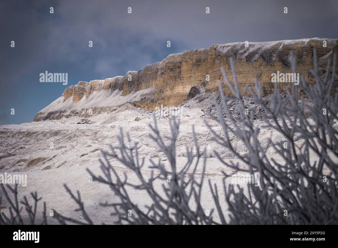 Paesaggio invernale di scogliere innevate dell'altopiano nel Caucaso settentrionale attraverso i rami di un albero ricoperto di hoarfrost Foto Stock