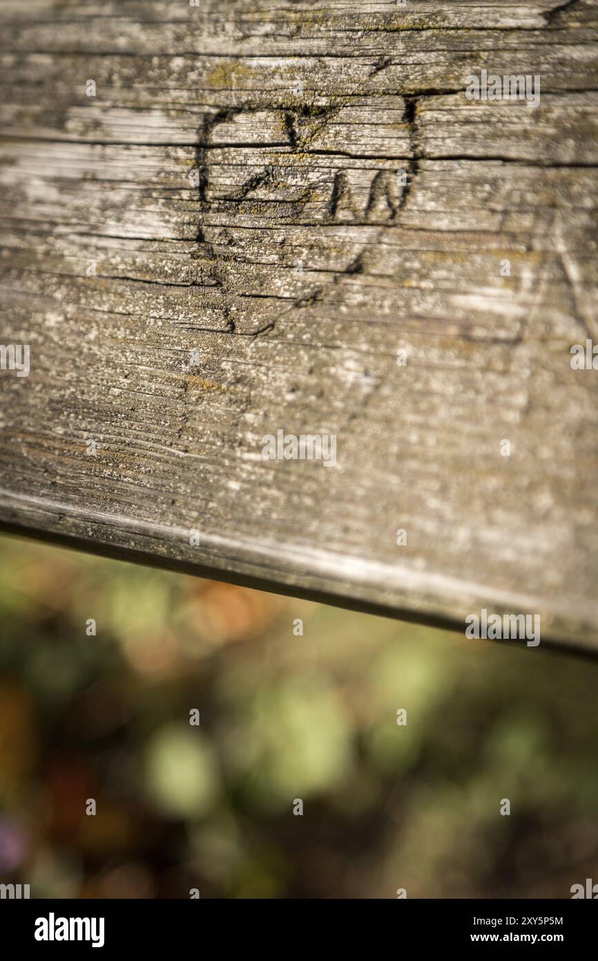 In prossimità del cuore scolpito su un parco bank, autunno Foto Stock