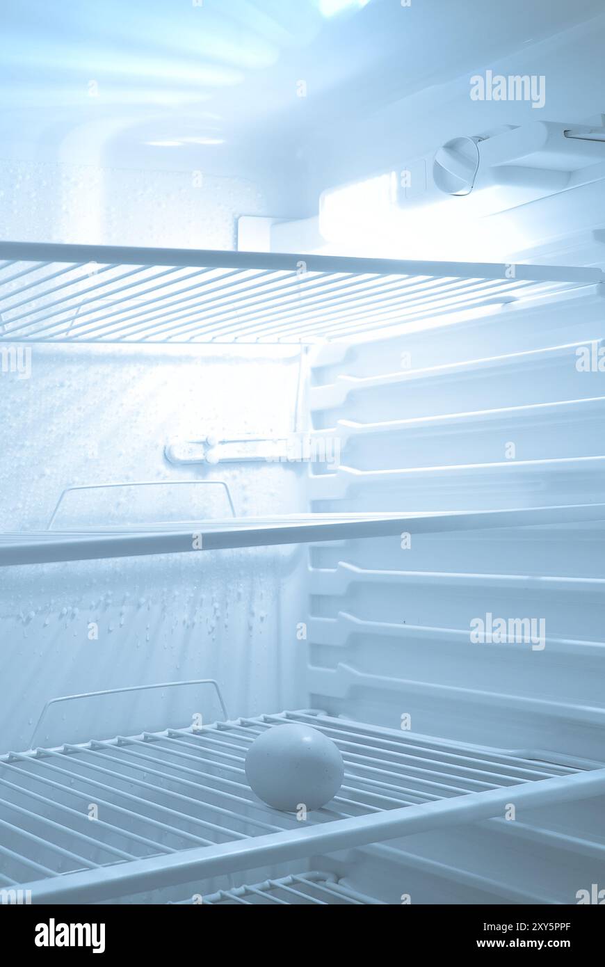 Uovo singolo in frigo Foto Stock