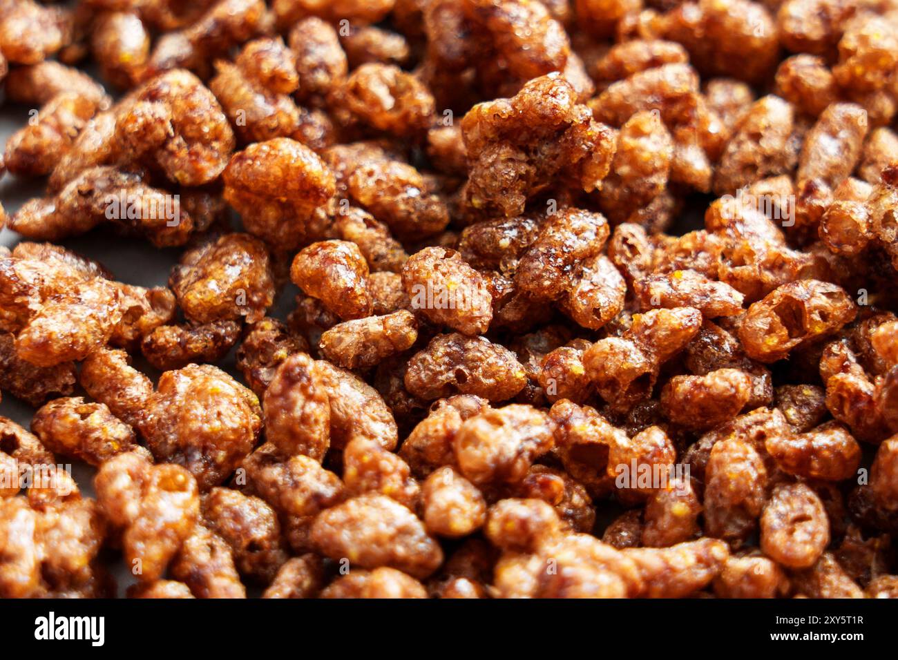 Fiocchi di riso di mais dolce al cioccolato con ingredienti senza glutine da primo piano. Grani croccanti e scuri biologici. Colazione salutare Foto Stock