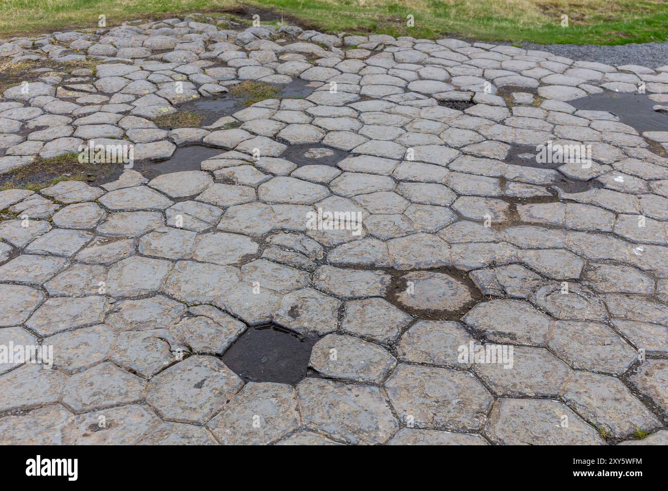 Kirkjugolf Natural Monument (il pavimento della chiesa), colonne di basalto formazione rocciosa nella città di Kirkjubaejarklaustur nel sud dell'Islanda. Foto Stock